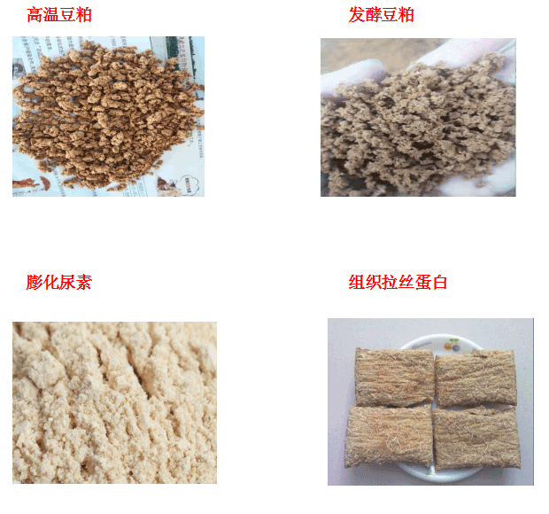 1650080706238361.png image.png